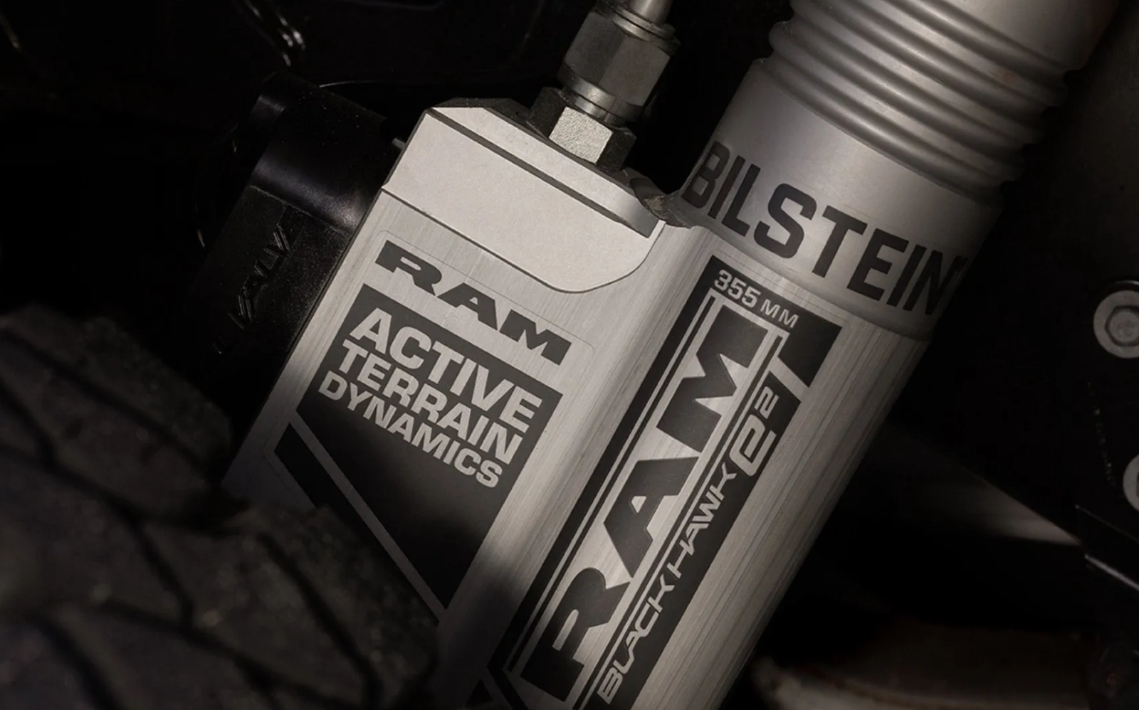 TRX suspension detail